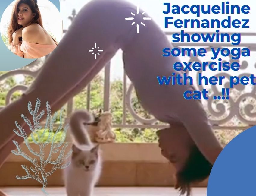 Jacqueline Fernandez showing some yoga exercise with her pet cat ..!!